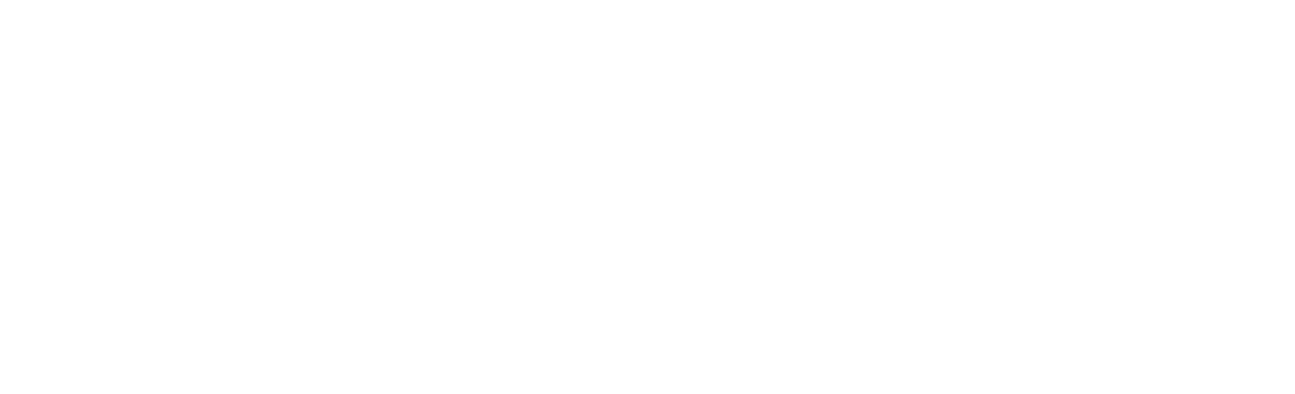 Cleanyz